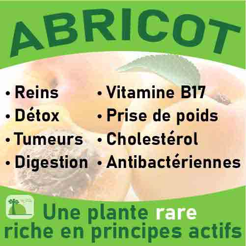 Gélules de poudre d’Amandes amères d’Abricot du laqboratoire Biologiquement