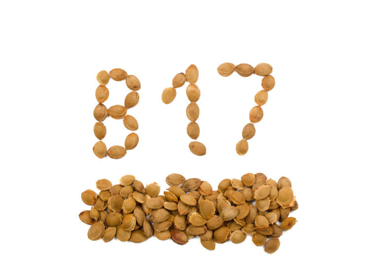 Gélules de poudre d’Amandes amères d’Abricot du laqboratoire Biologiquement