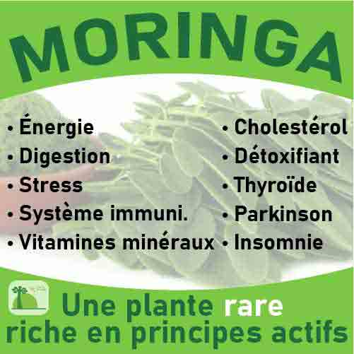 Gélules feuilles de Moringa