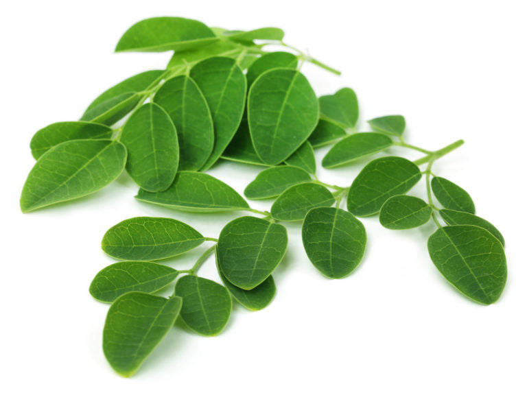 Gélules feuilles de Moringa