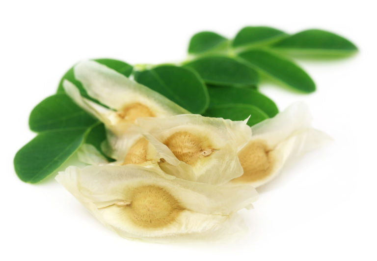 Gélules de graines de Moringa