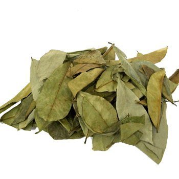 Poudre de feuilles de Graviola Corossol