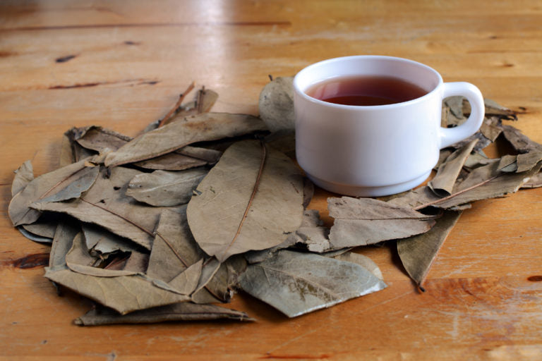 Sachet de tisane de feuilles de Graviola