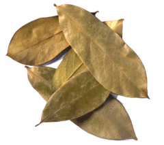 Sachet de tisane de feuilles de Graviola